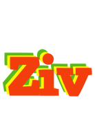 Ziv bbq logo