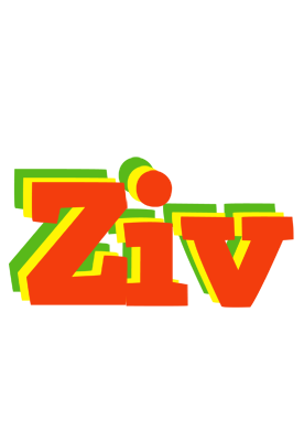 Ziv bbq logo