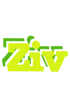 Ziv citrus logo