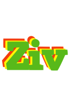 Ziv crocodile logo