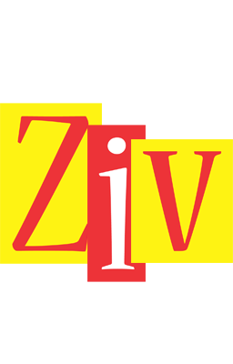 Ziv errors logo