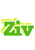 Ziv picnic logo