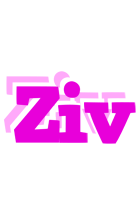 Ziv rumba logo