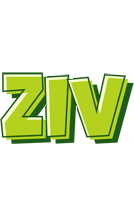 Ziv summer logo