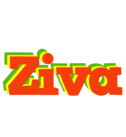 Ziva bbq logo