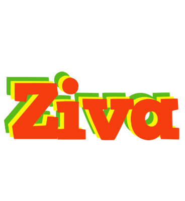 Ziva bbq logo