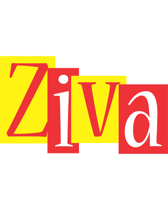 Ziva errors logo