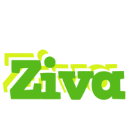 Ziva picnic logo