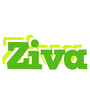 Ziva picnic logo