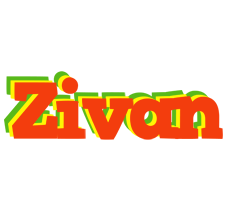 Zivan bbq logo