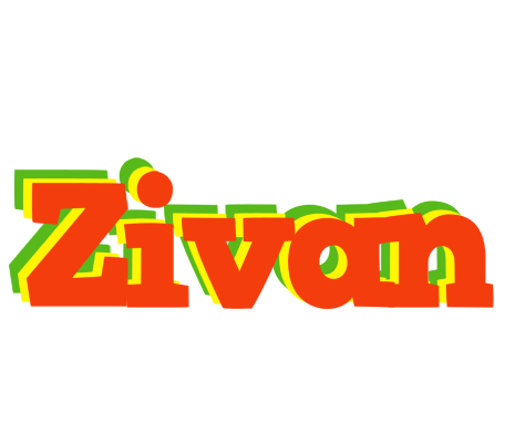 Zivan bbq logo