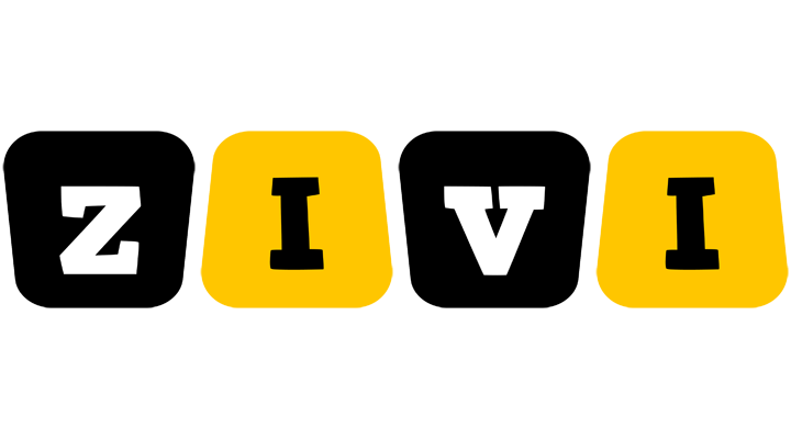 Zivi boots logo
