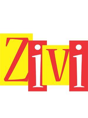Zivi errors logo