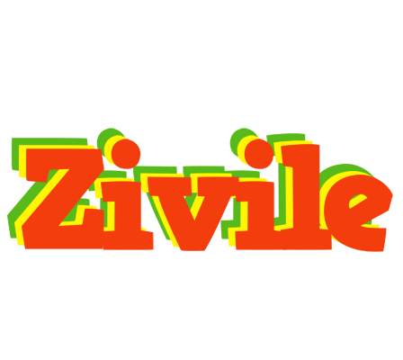 Zivile bbq logo