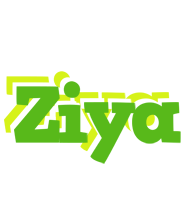 Ziya picnic logo