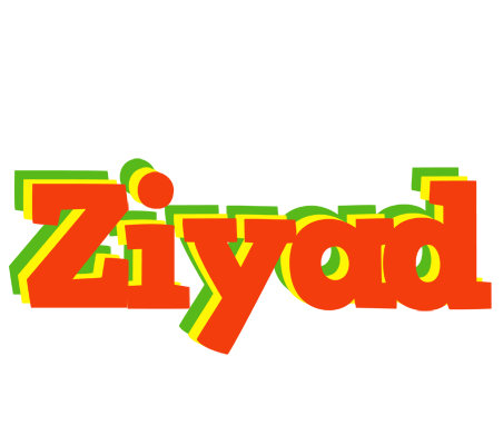Ziyad bbq logo