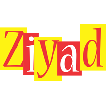 Ziyad errors logo