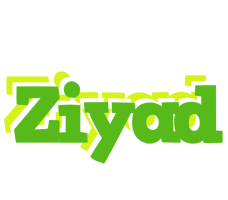 Ziyad picnic logo