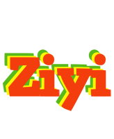Ziyi bbq logo