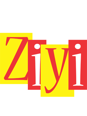 Ziyi errors logo