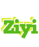 Ziyi picnic logo