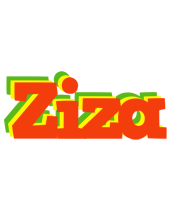 Ziza bbq logo