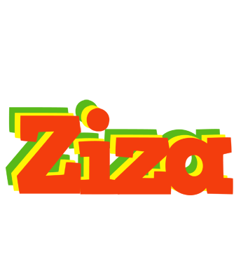 Ziza bbq logo