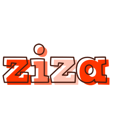 Ziza paint logo