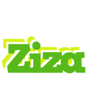 Ziza picnic logo