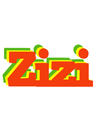 Zizi bbq logo