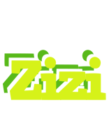 Zizi citrus logo