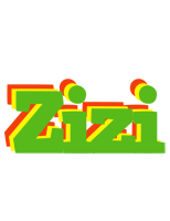 Zizi crocodile logo