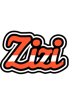 Zizi denmark logo
