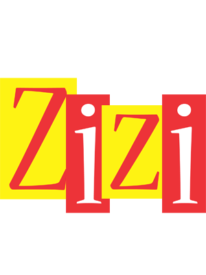 Zizi errors logo