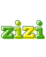 Zizi juice logo