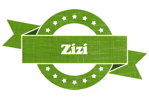 Zizi natural logo