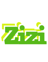 Zizi picnic logo