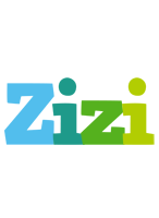 Zizi rainbows logo