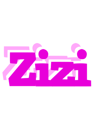 Zizi rumba logo
