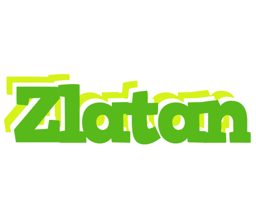 Zlatan picnic logo