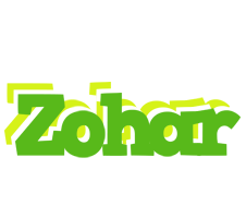 Zohar picnic logo