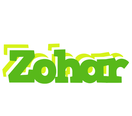 Zohar picnic logo