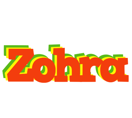 Zohra bbq logo