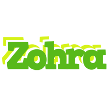 Zohra picnic logo