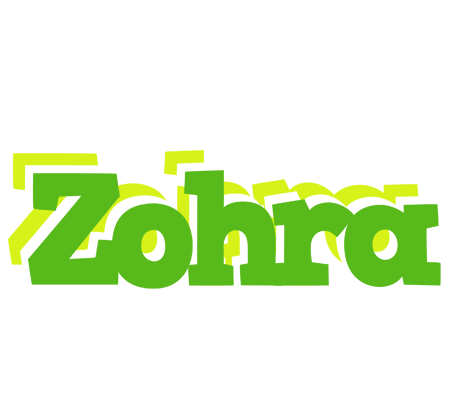 Zohra picnic logo