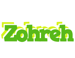 Zohreh picnic logo