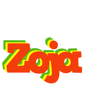 Zoja bbq logo