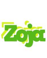 Zoja picnic logo