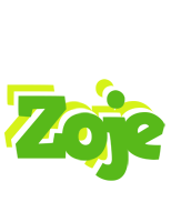 Zoje picnic logo