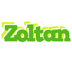 Zoltan picnic logo